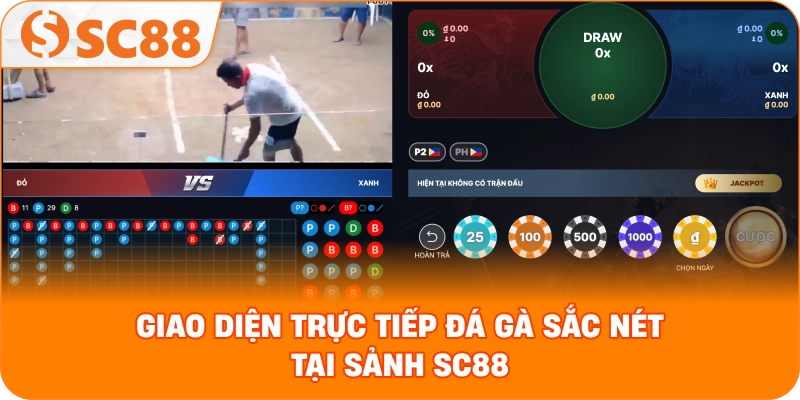 Giao diện trực tiếp đá gà sắc nét tại sảnh SC88